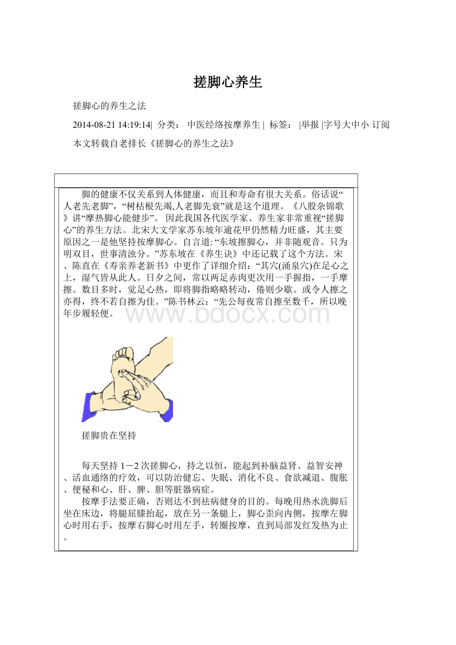 搓脚心养生文档格式.docx