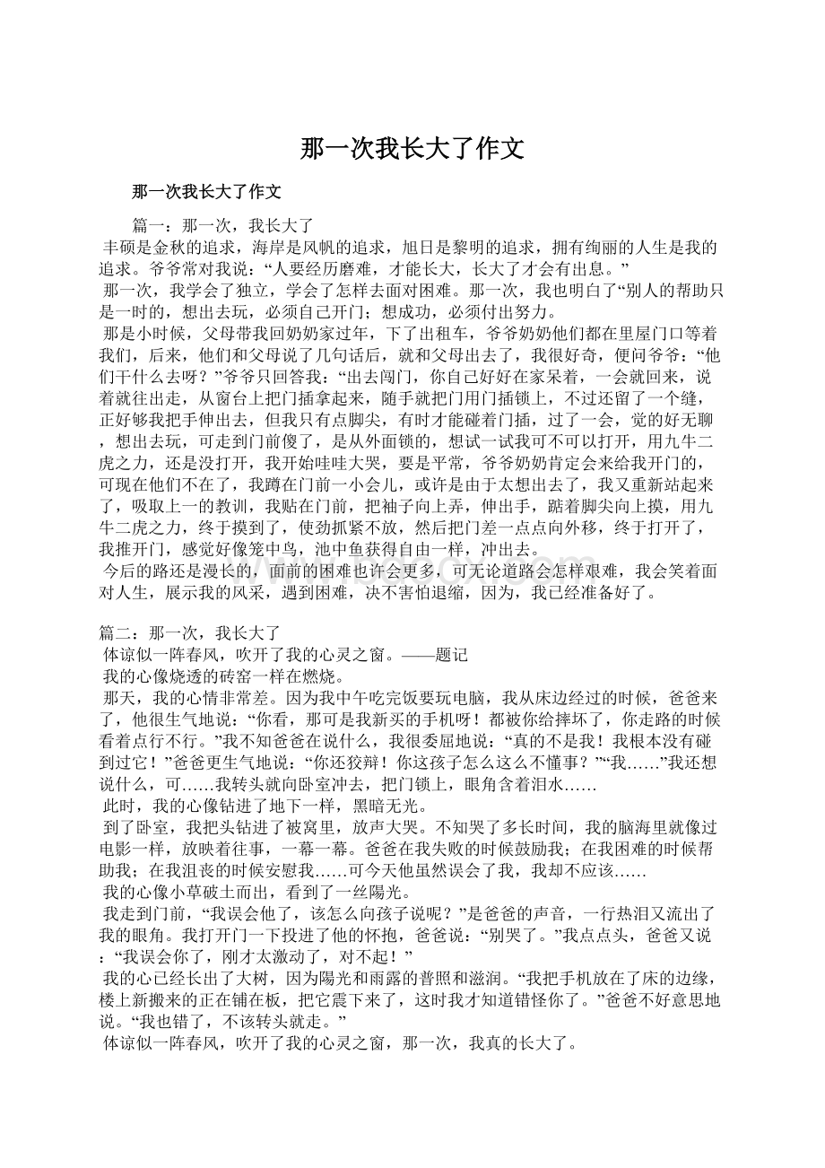 那一次我长大了作文.docx