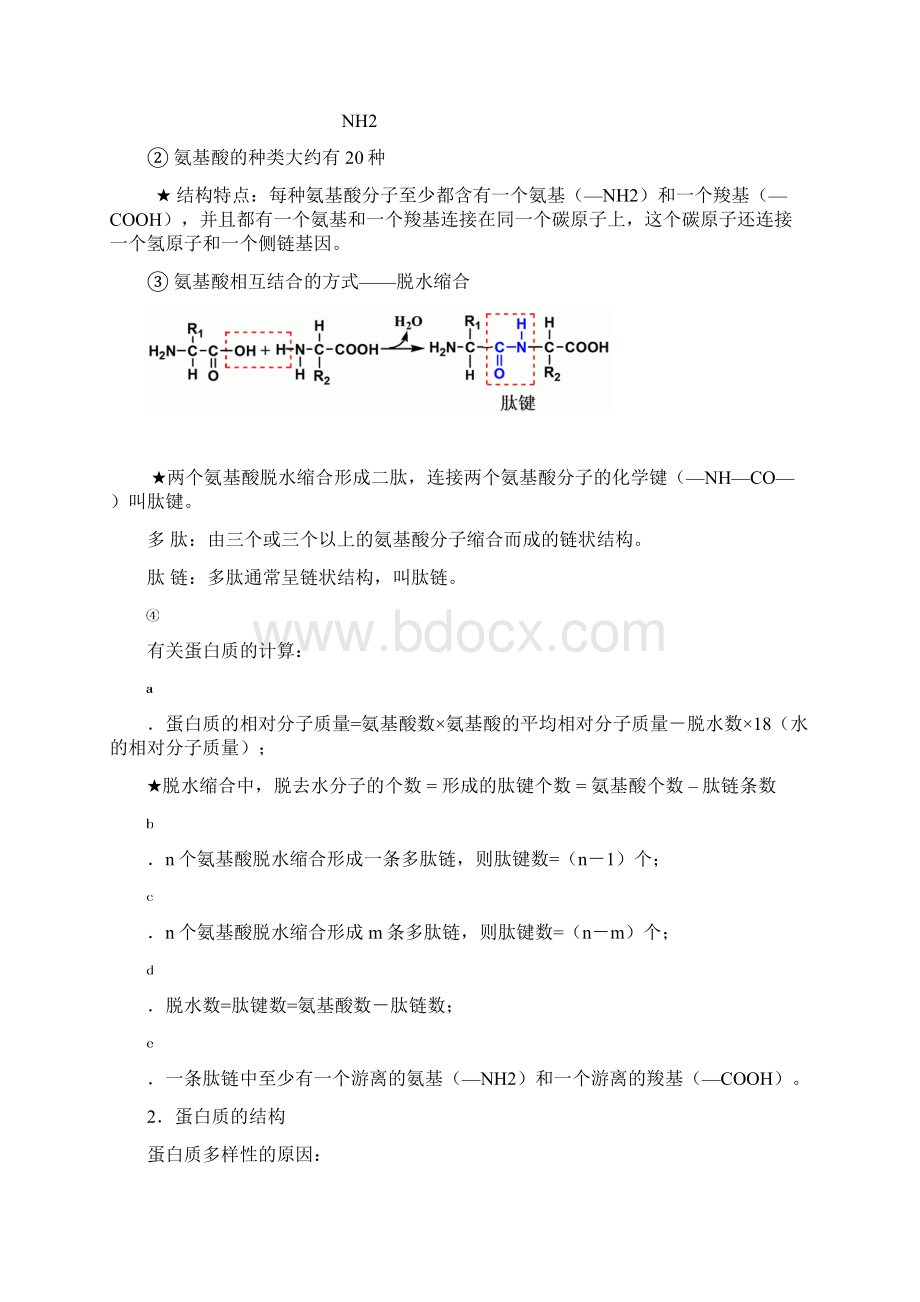 分子与细胞知识点整理.docx_第3页
