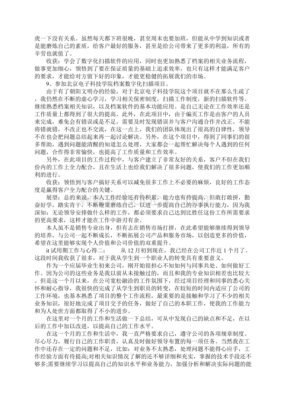 it试用期工作与心得6篇it试用期工作总结心得文档格式.docx_第3页