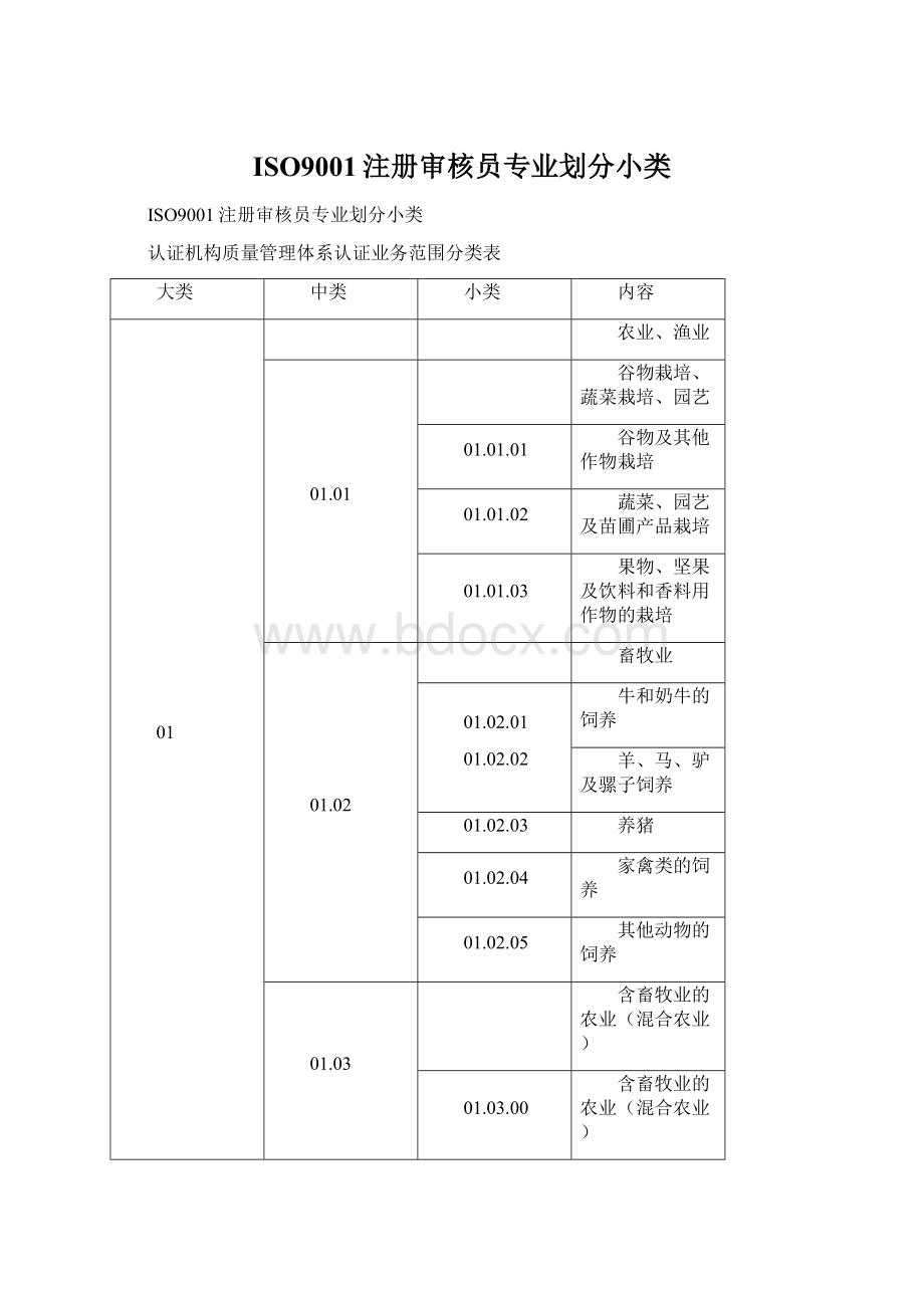 ISO9001注册审核员专业划分小类Word格式文档下载.docx_第1页