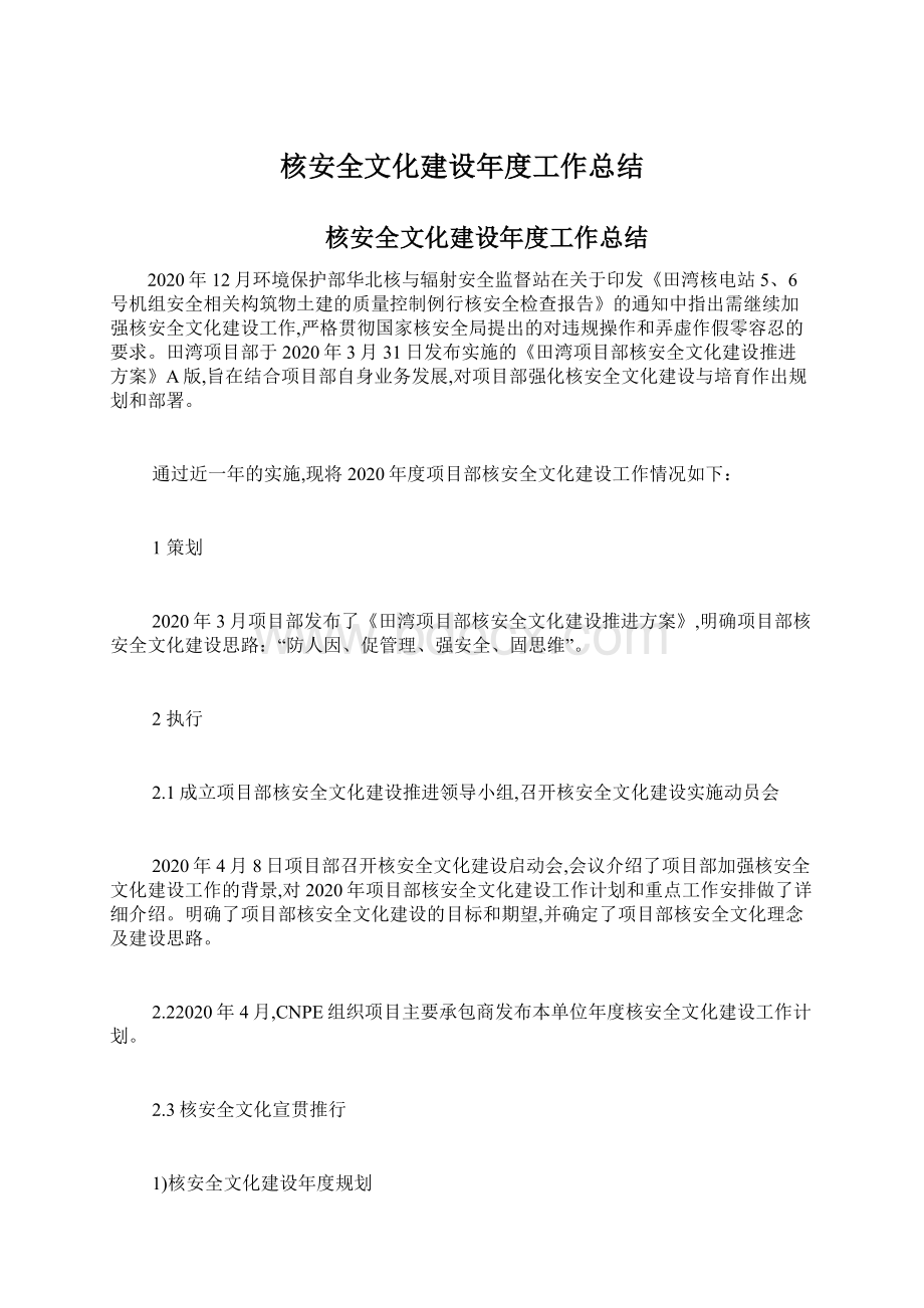 核安全文化建设年度工作总结.docx