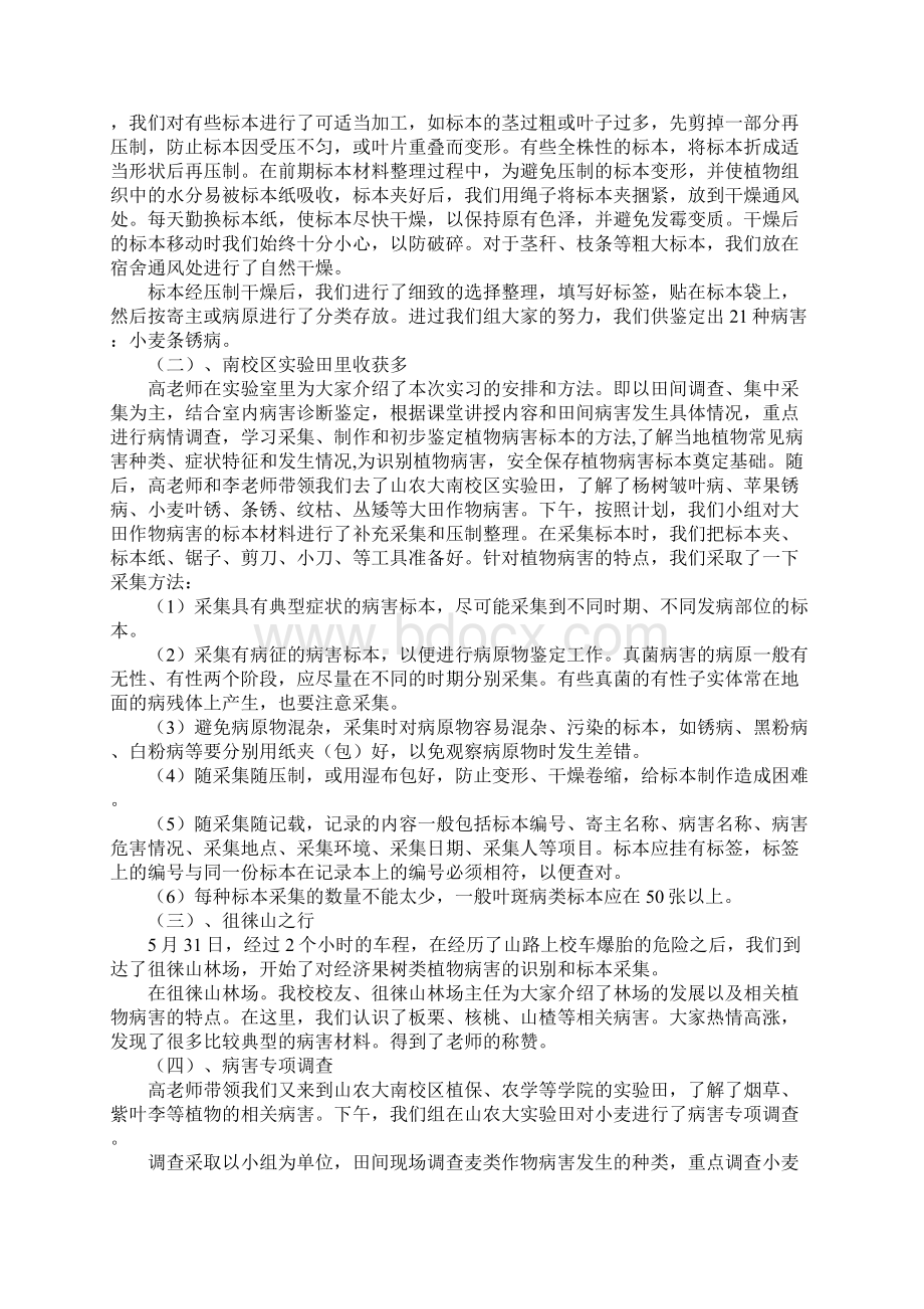 大学生植物病理学实习报告示范文本.docx_第2页