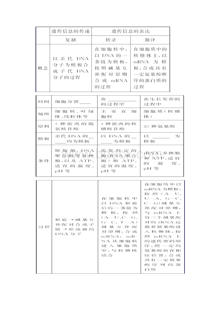 基因表达教学案练习案Word文档格式.docx_第3页