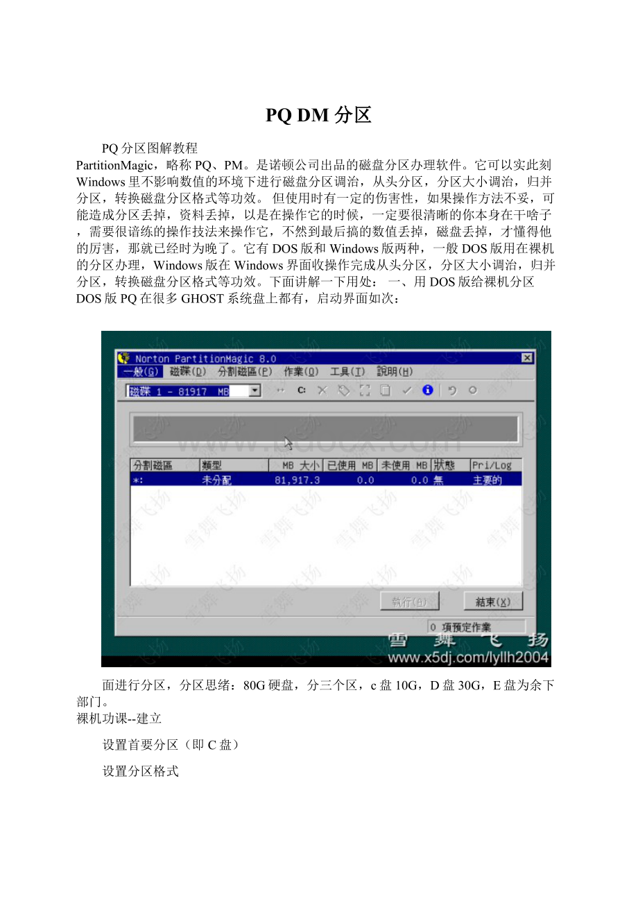 PQ DM 分区Word文档格式.docx