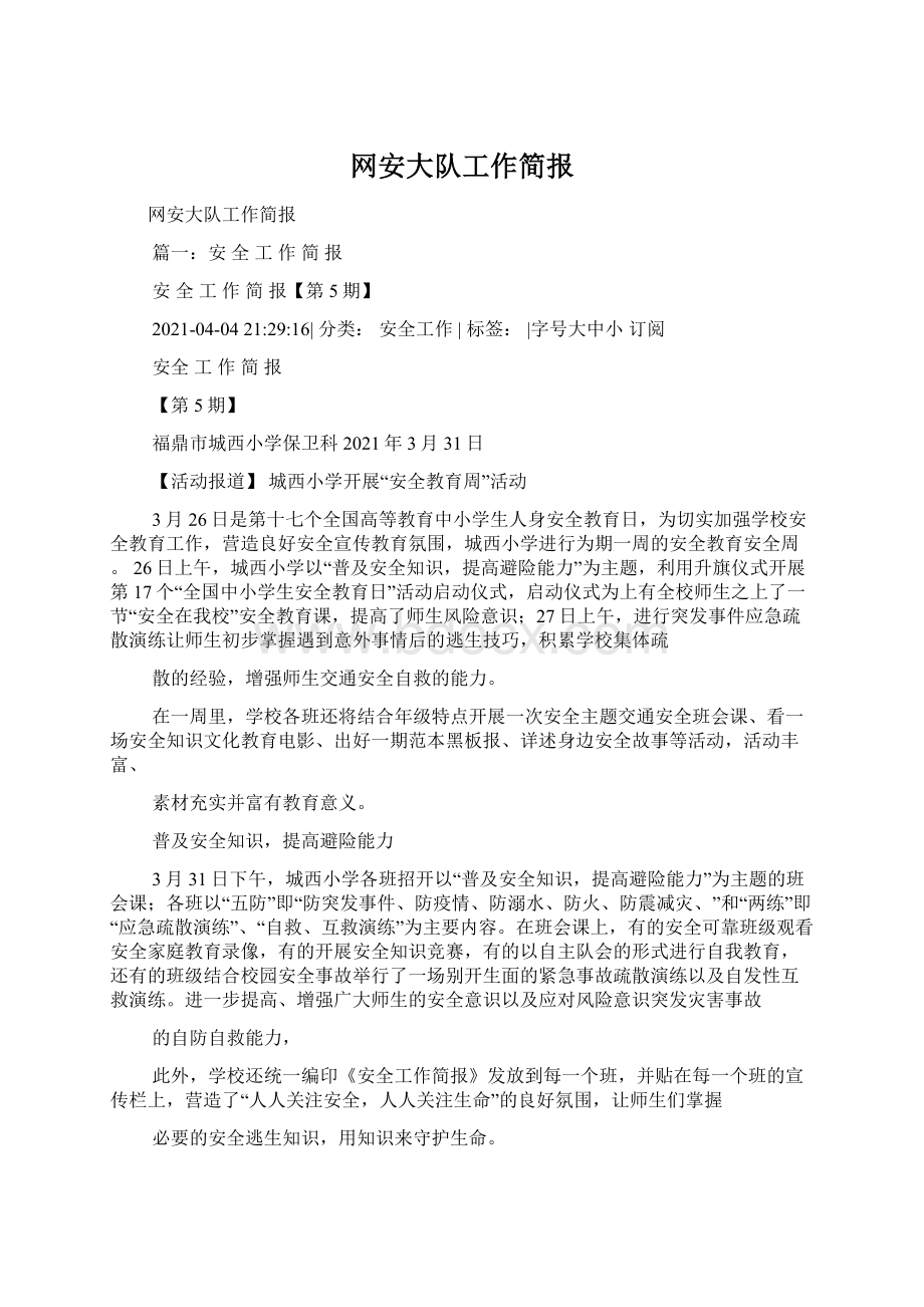 网安大队工作简报Word文档格式.docx