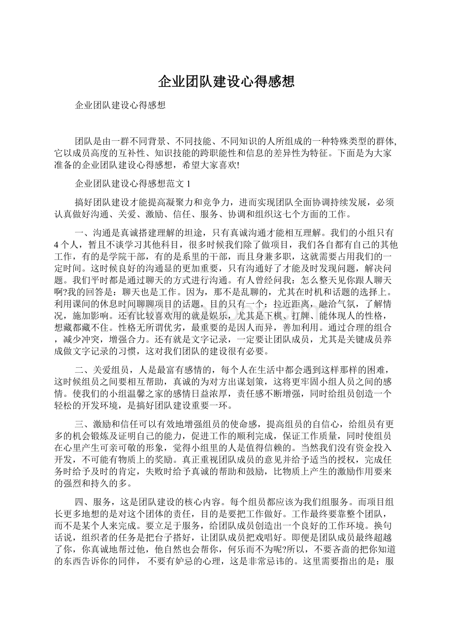 企业团队建设心得感想文档格式.docx_第1页