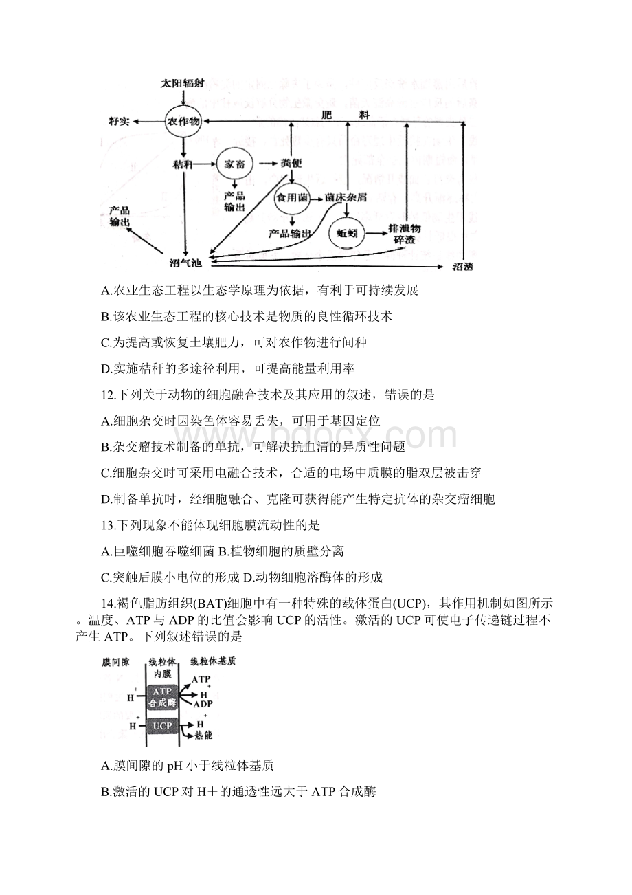 浙江省嘉兴市届普通高校招生选考科目教学测试 生物 Word版含答案文档格式.docx_第3页