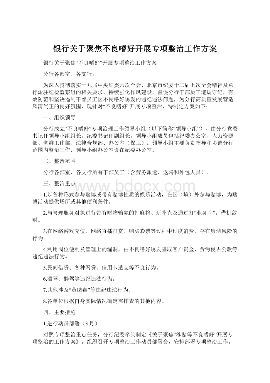 银行关于聚焦不良嗜好开展专项整治工作方案Word文档格式.docx