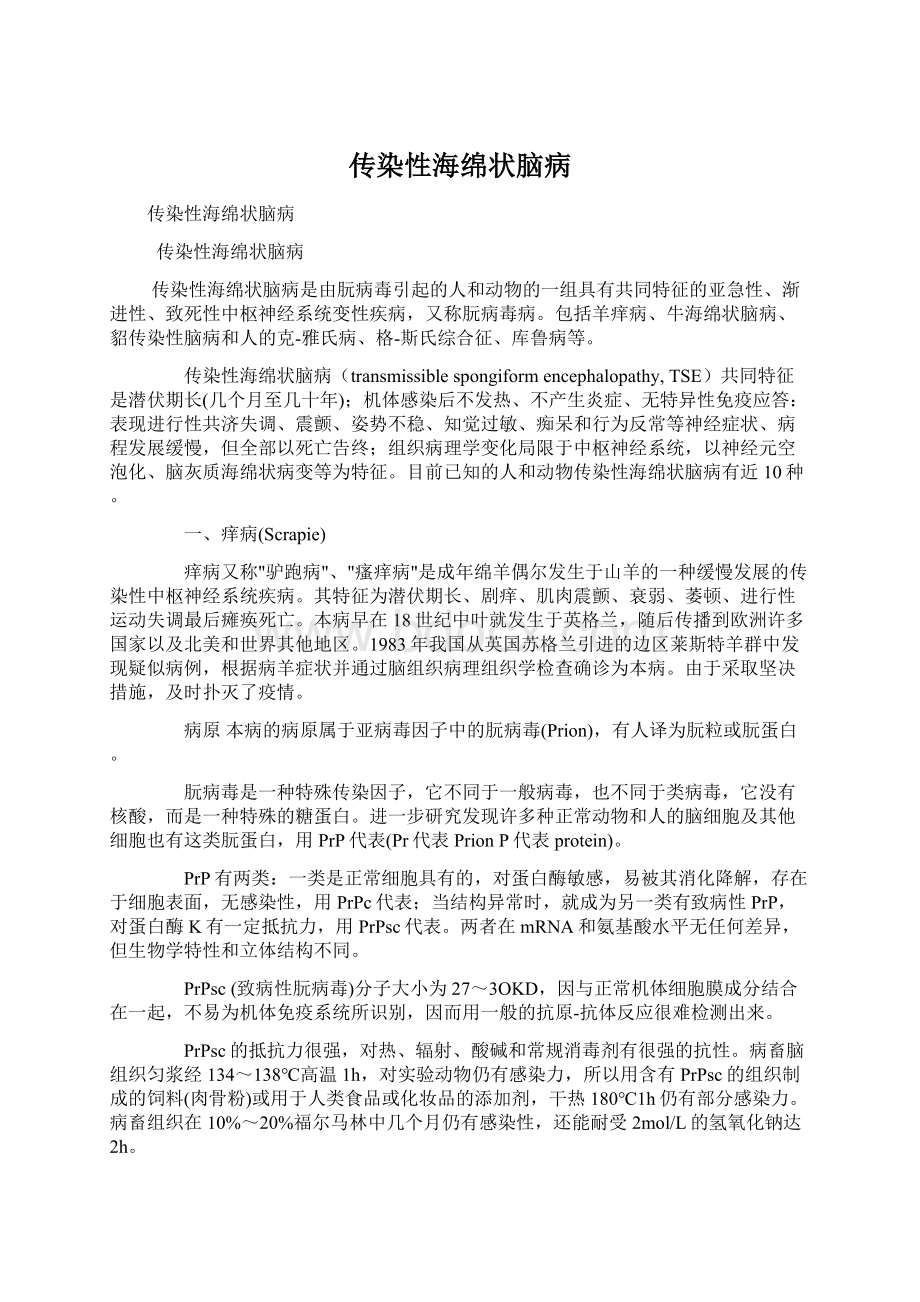 传染性海绵状脑病.docx