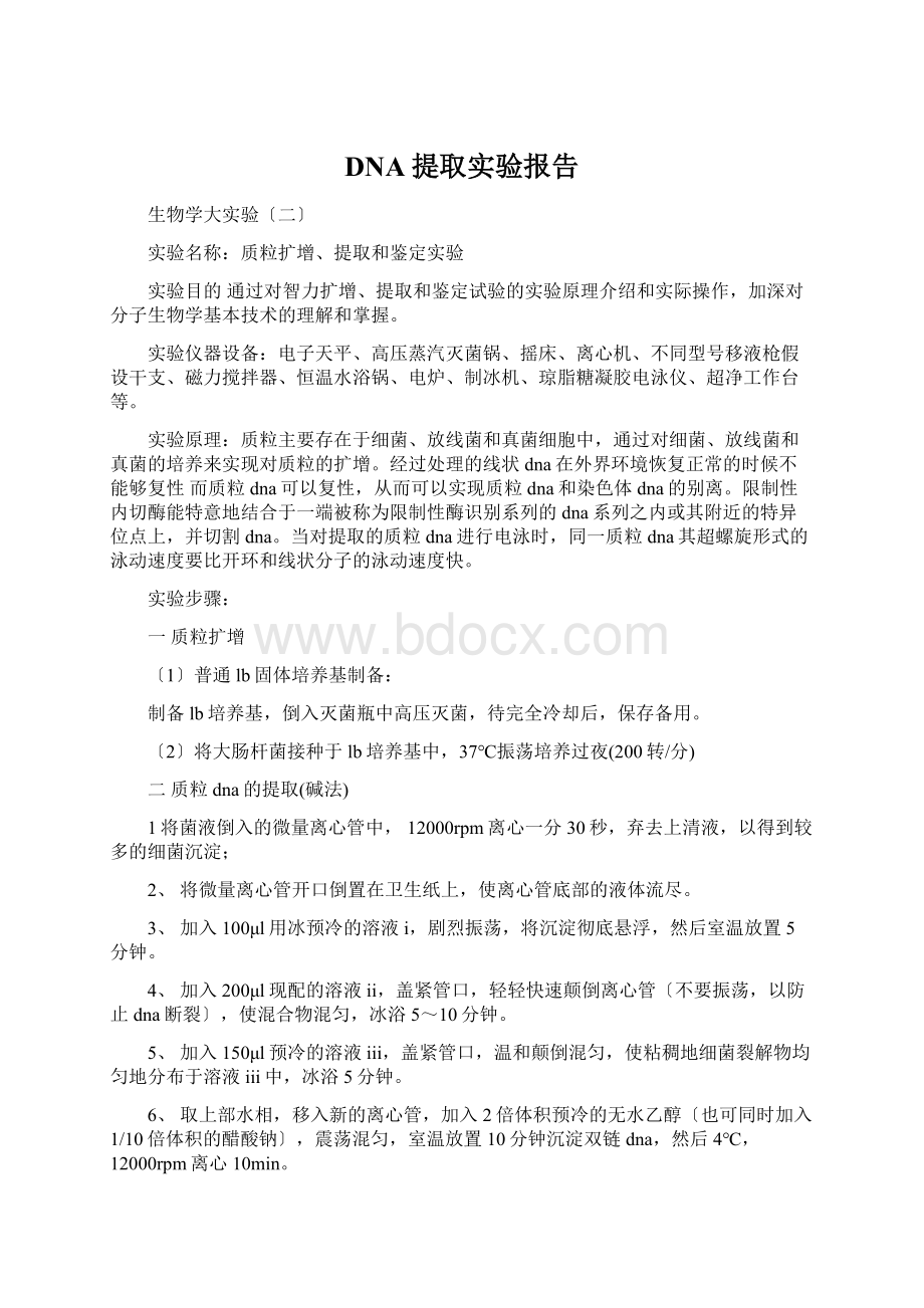 DNA提取实验报告文档格式.docx