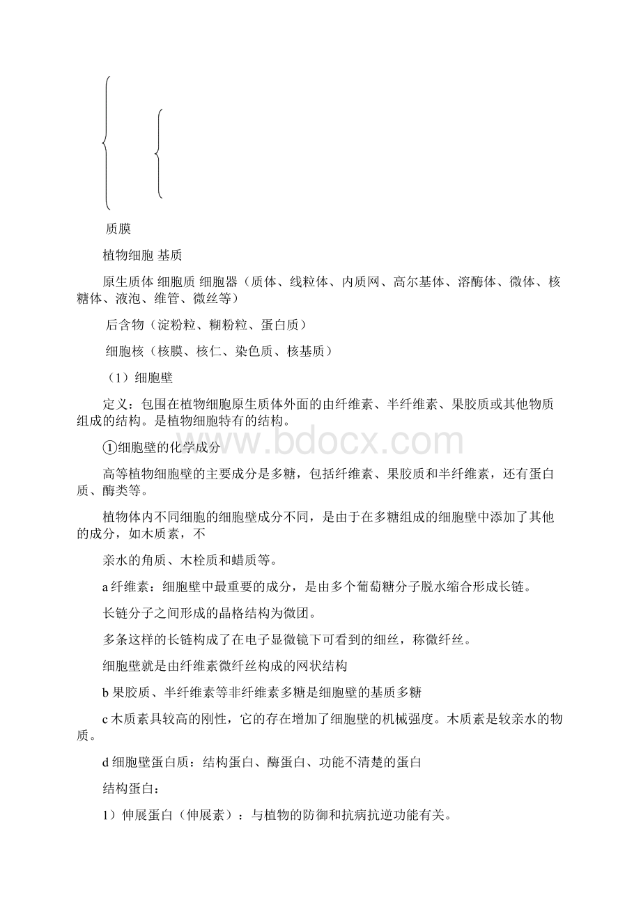 植物学笔记自整Word文件下载.docx_第2页