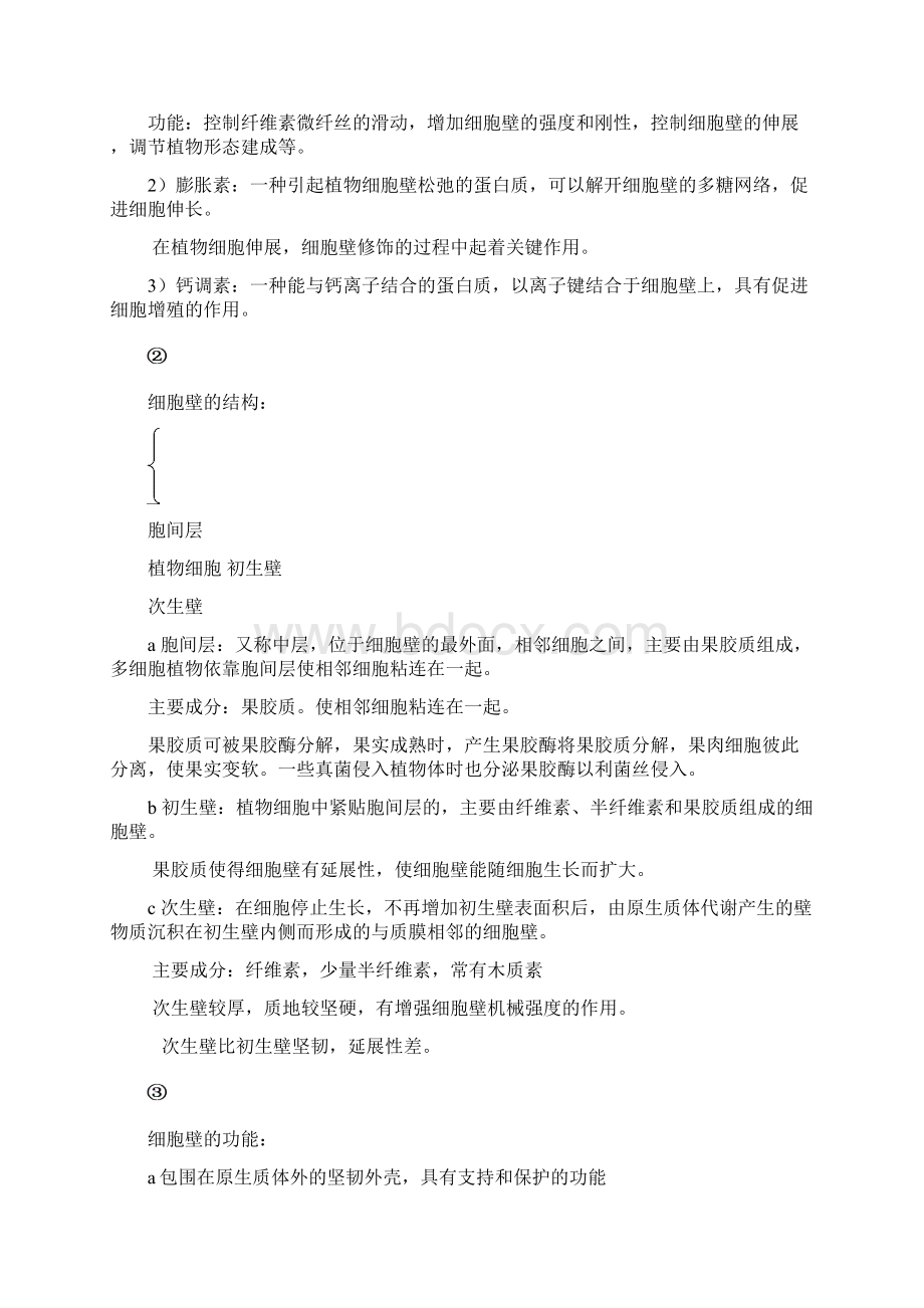 植物学笔记自整Word文件下载.docx_第3页