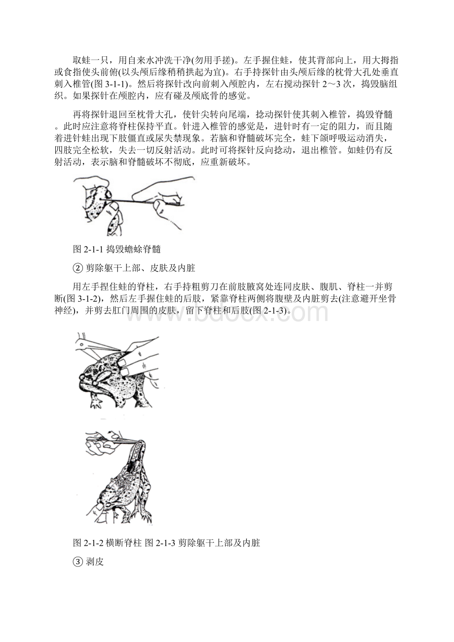 生理学学生实验报告Word下载.docx_第2页