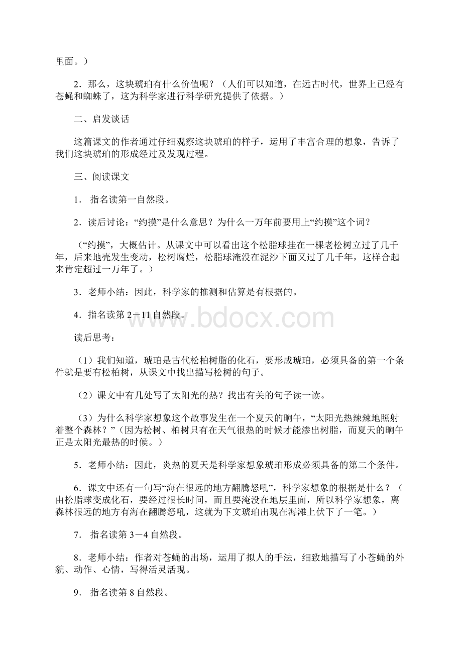 《琥珀》语文教案Word格式文档下载.docx_第3页