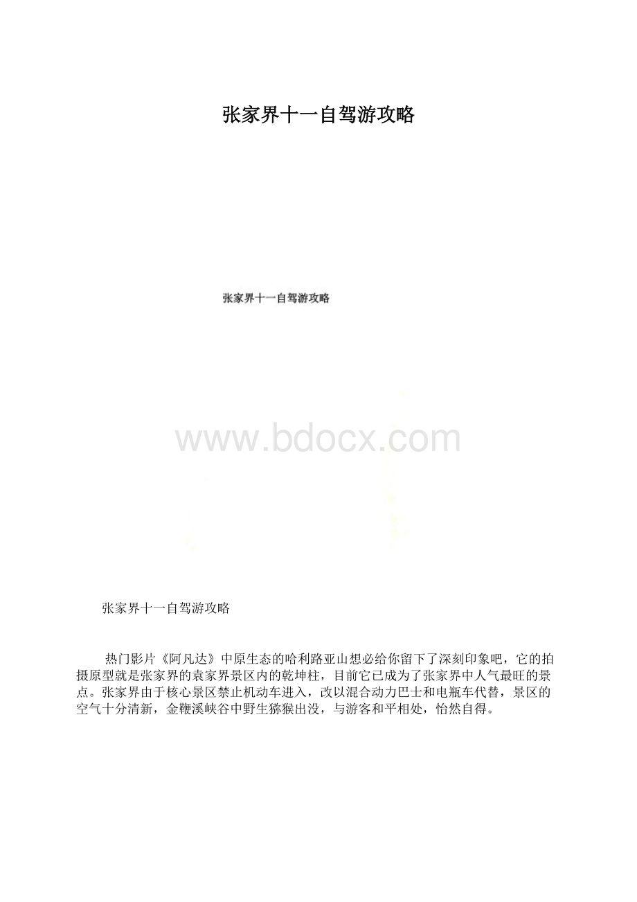 张家界十一自驾游攻略Word文档下载推荐.docx