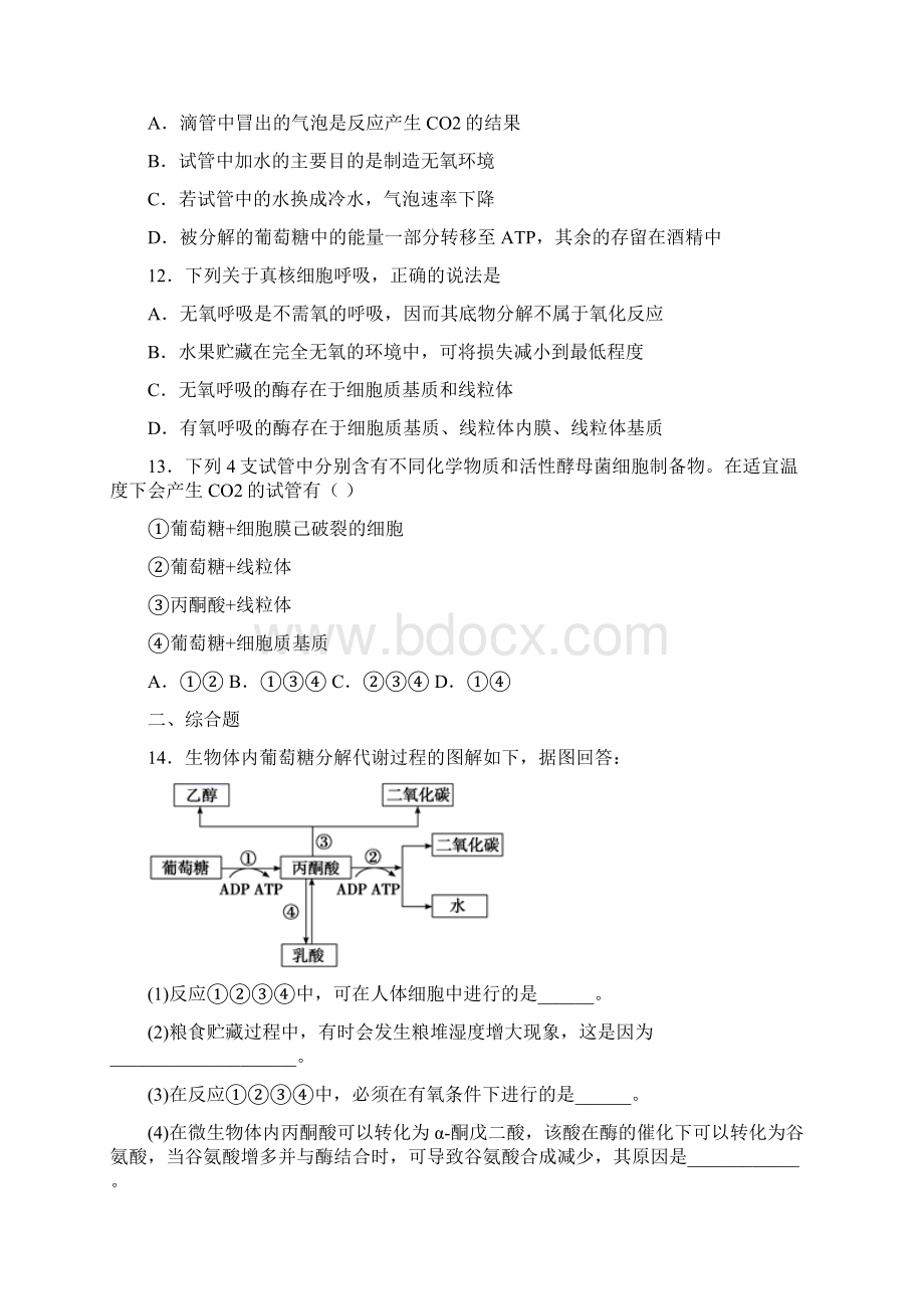 江苏省最新高一生物苏教版必修1同步精品生物试题.docx_第3页