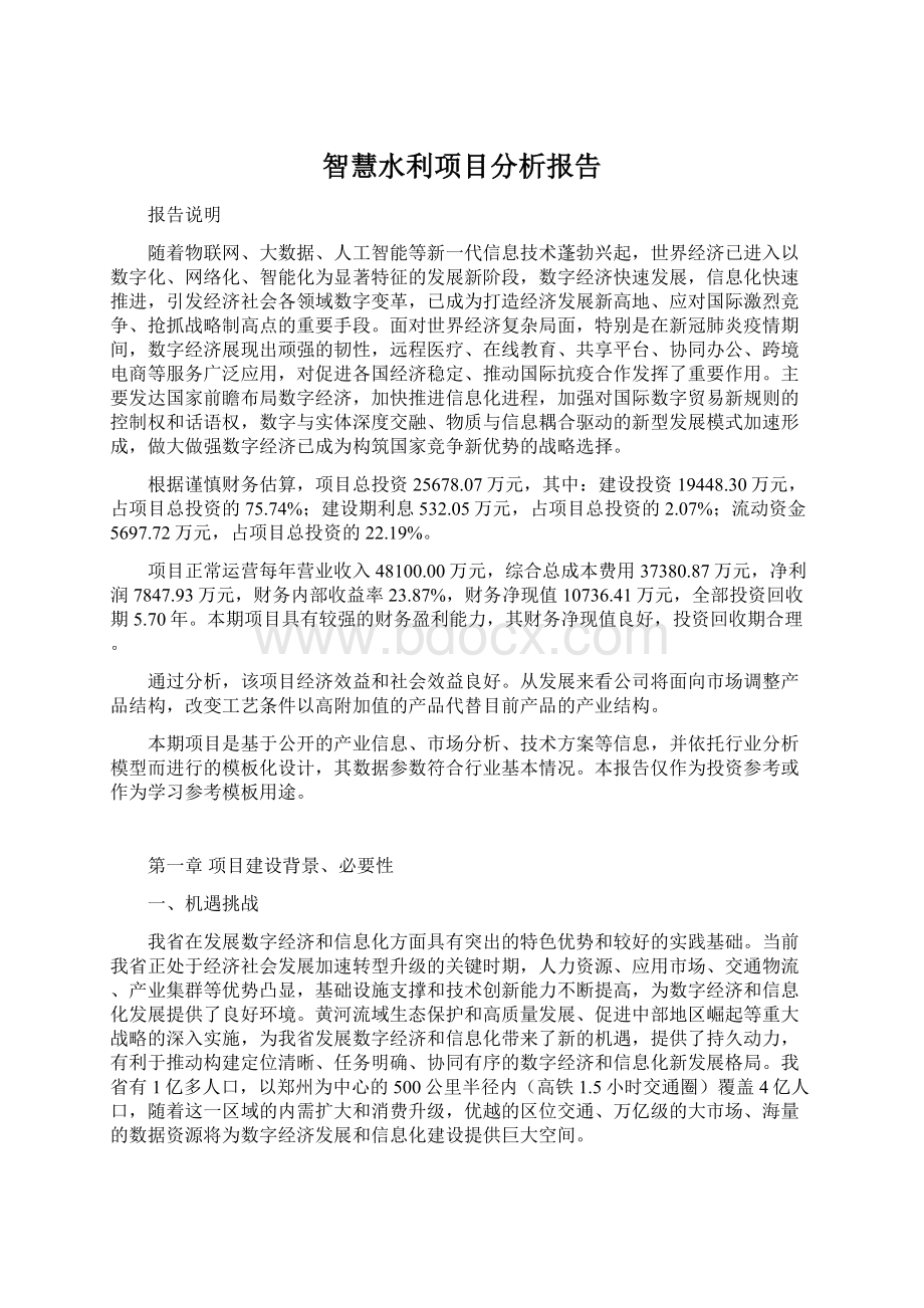 智慧水利项目分析报告.docx