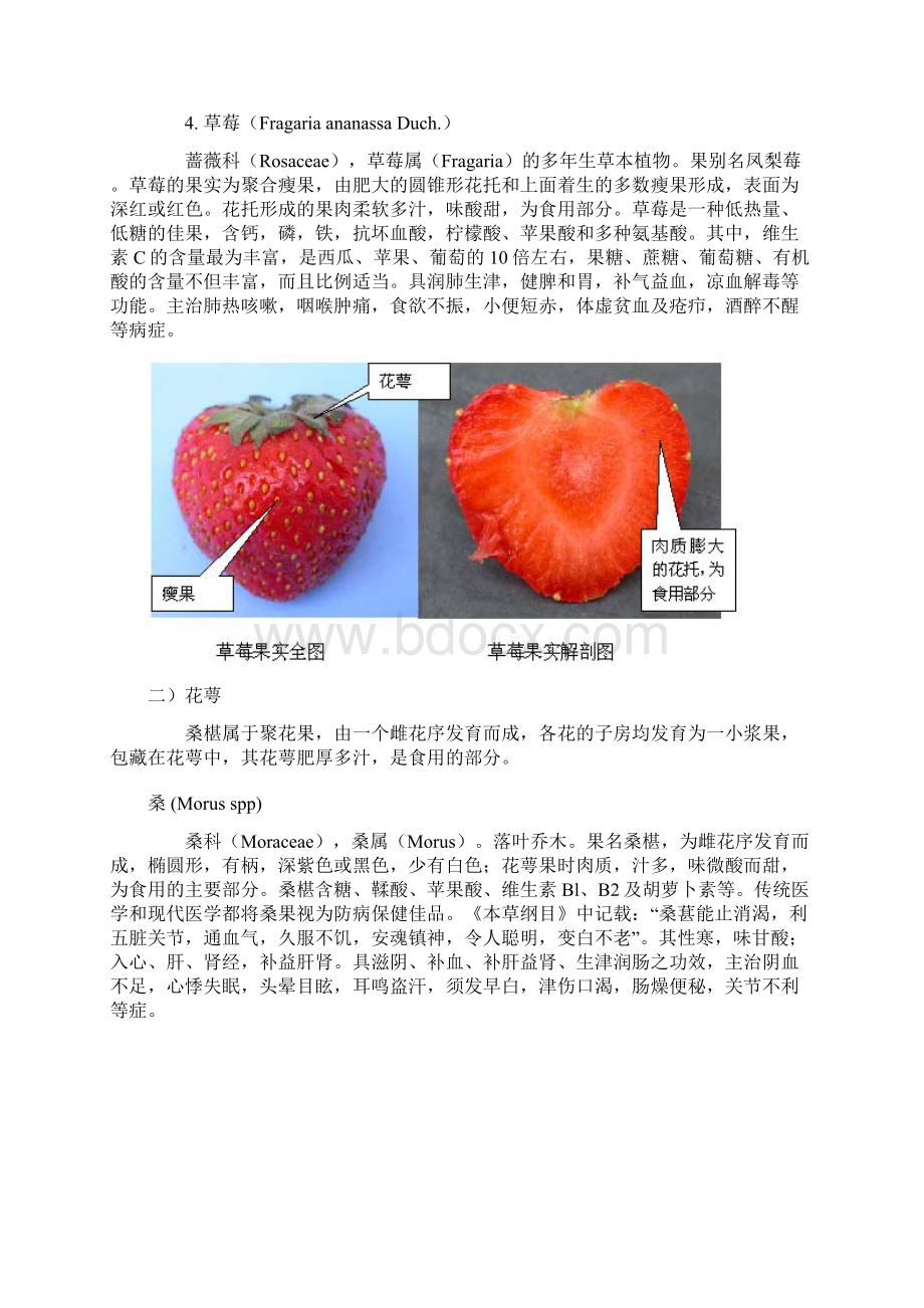 常见水果果实食用部分.docx_第3页