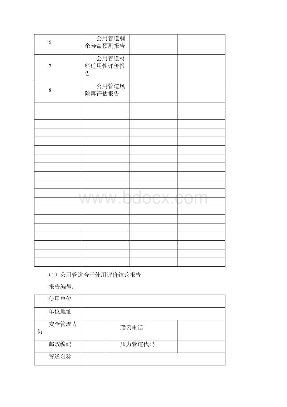 031503 公用管道合于使用评价报告.docx_第2页