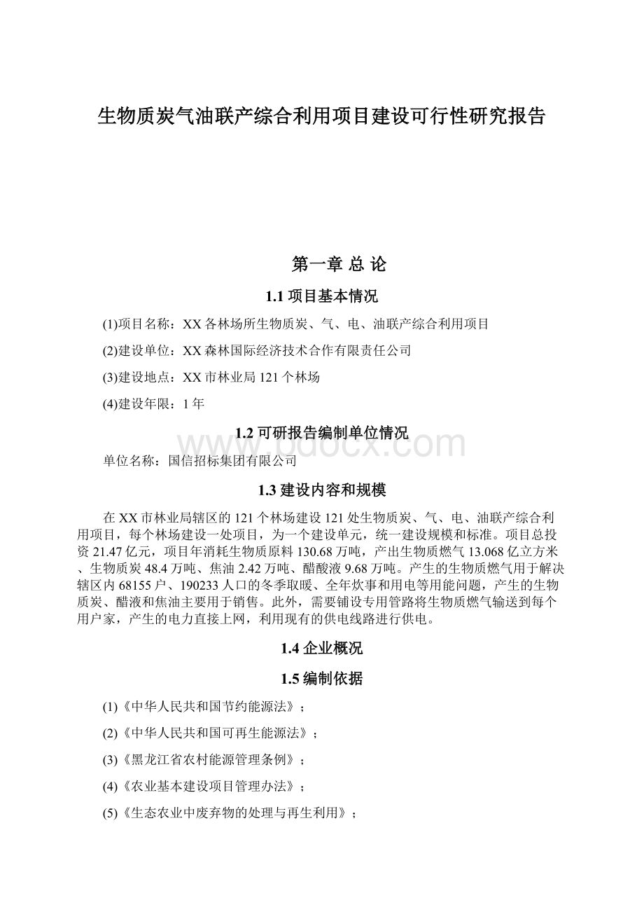 生物质炭气油联产综合利用项目建设可行性研究报告文档格式.docx