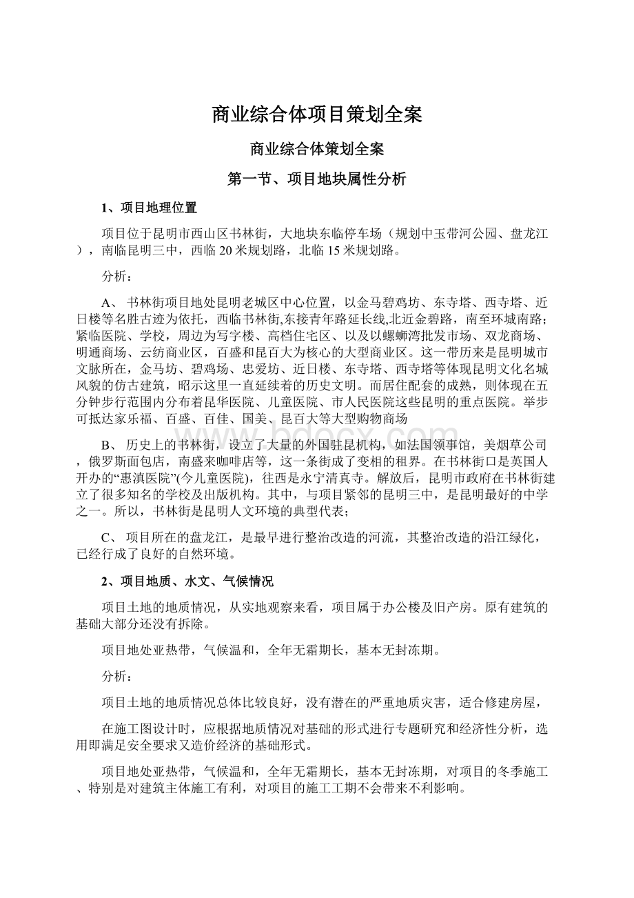 商业综合体项目策划全案Word格式文档下载.docx_第1页