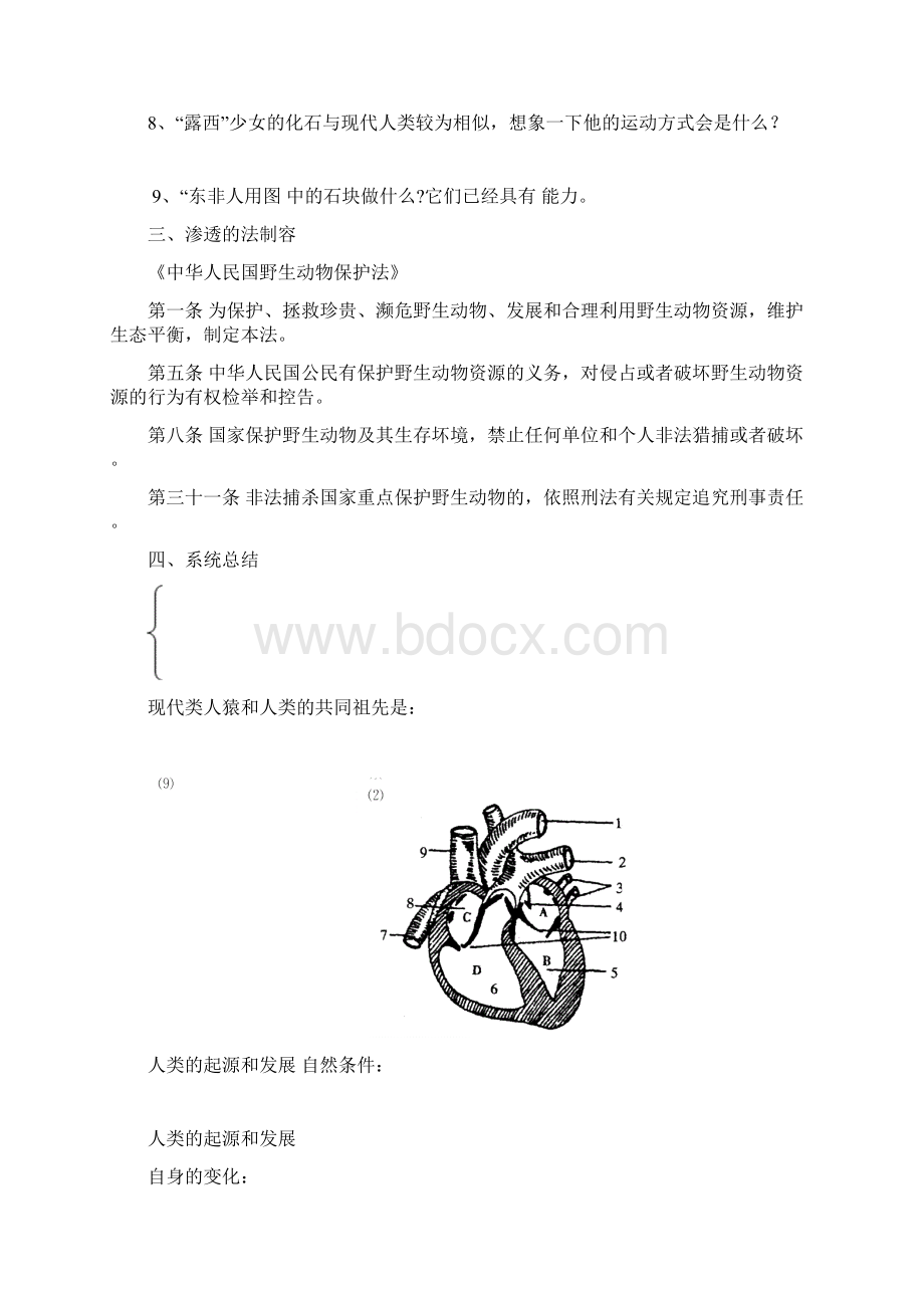 七年级生物下册第四单元生物圈中的人第一章人的由来Word格式文档下载.docx_第2页