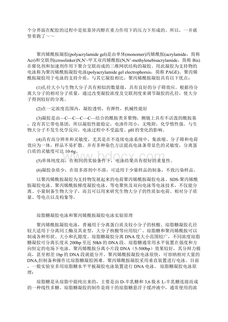 蛋白质电泳.docx_第2页