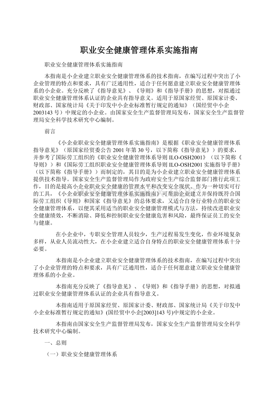 职业安全健康管理体系实施指南.docx