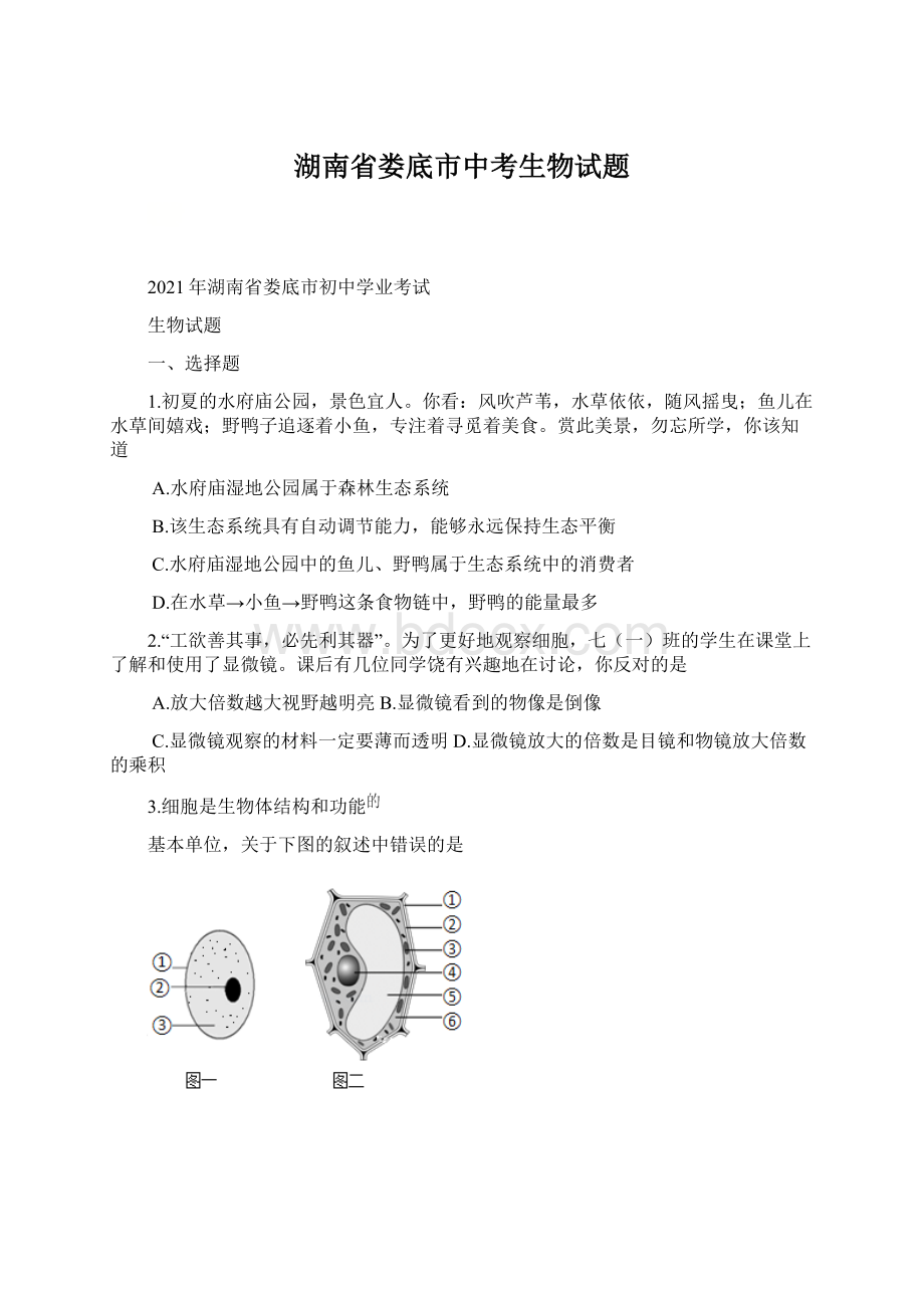 湖南省娄底市中考生物试题Word下载.docx