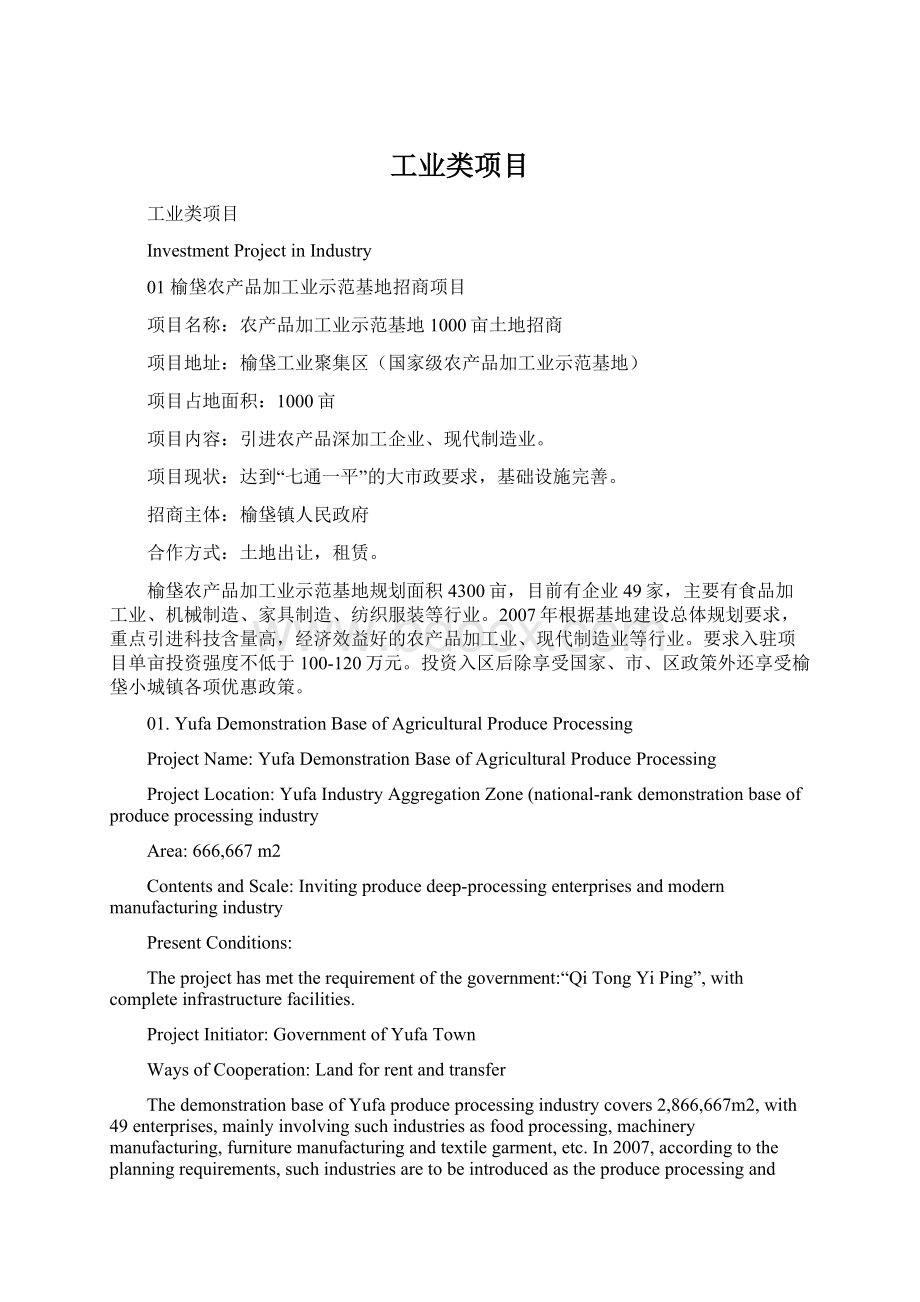 工业类项目文档格式.docx_第1页