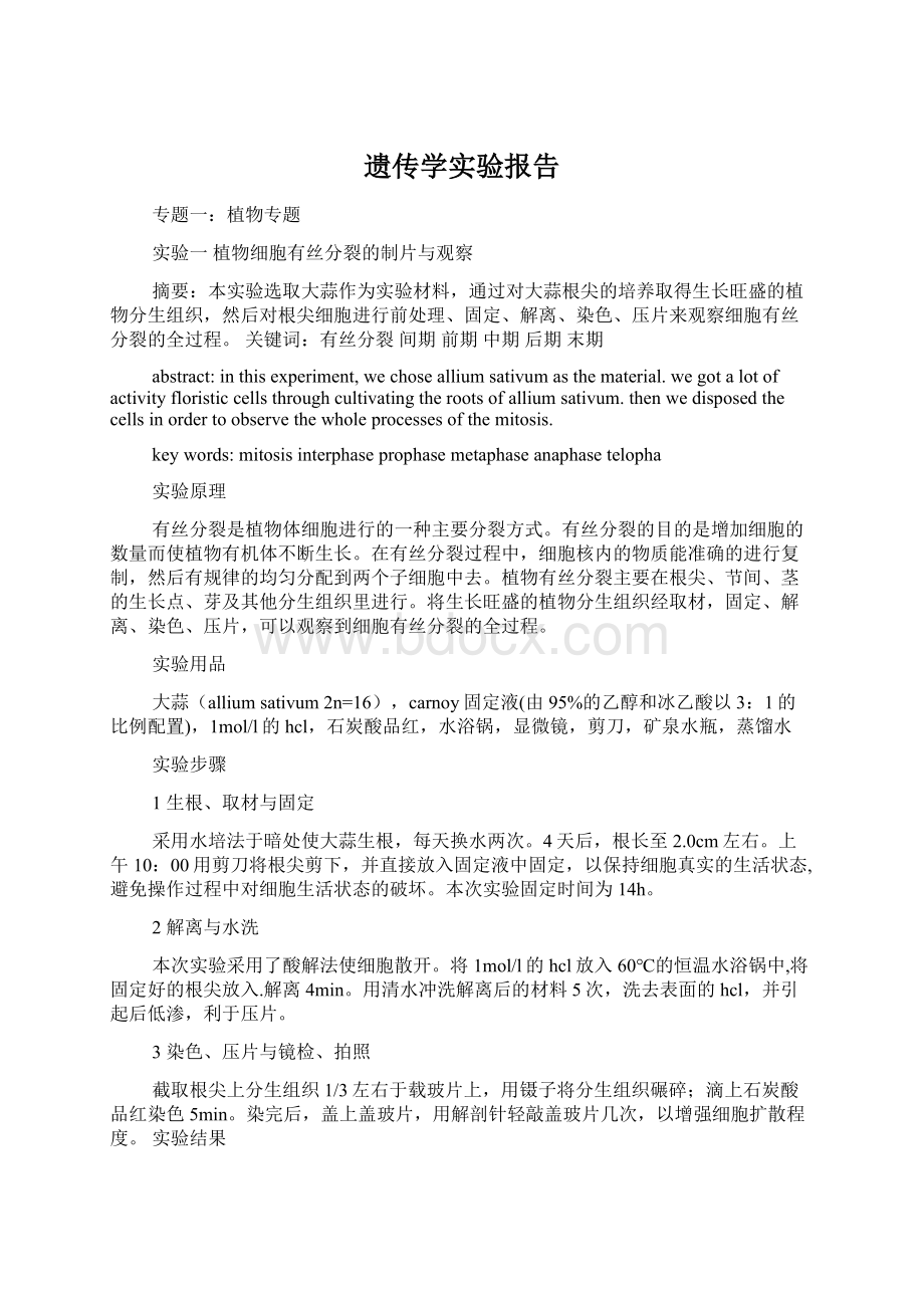 遗传学实验报告.docx_第1页