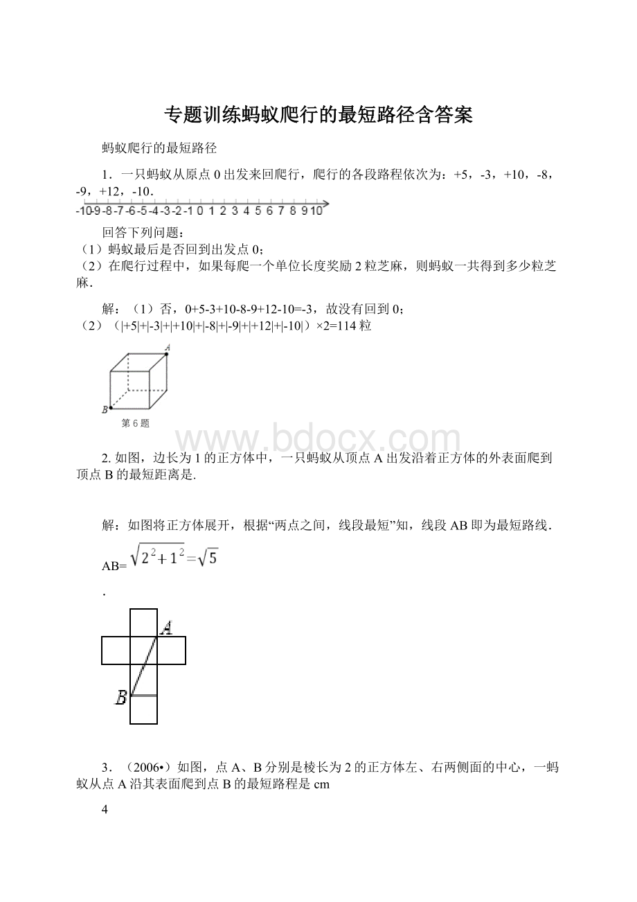 专题训练蚂蚁爬行的最短路径含答案.docx