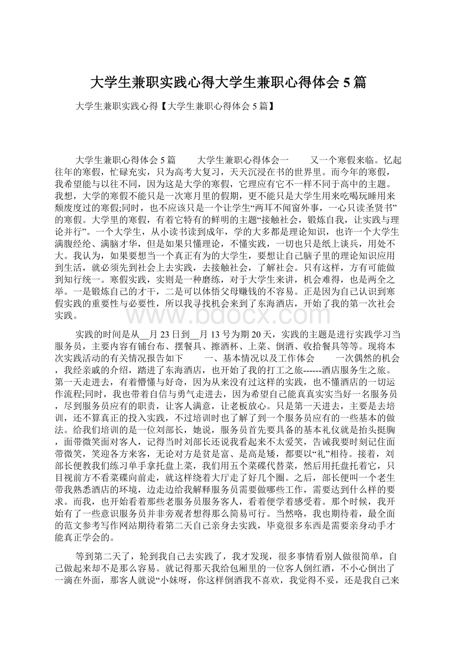 大学生兼职实践心得大学生兼职心得体会5篇.docx