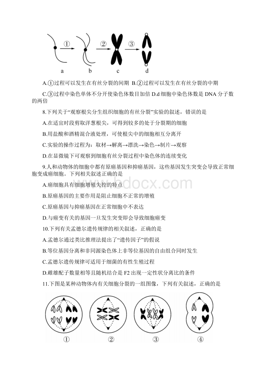 湖北省天门市仙桃市潜江市学年高一生物下学期期末联考试题含答案 师生通用Word格式.docx_第3页