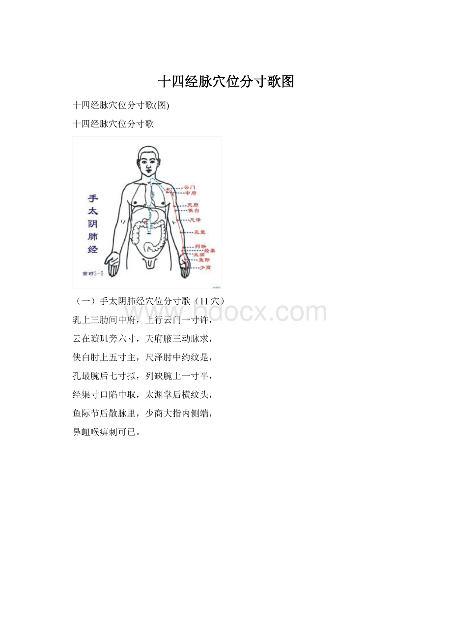 十四经脉穴位分寸歌图Word下载.docx