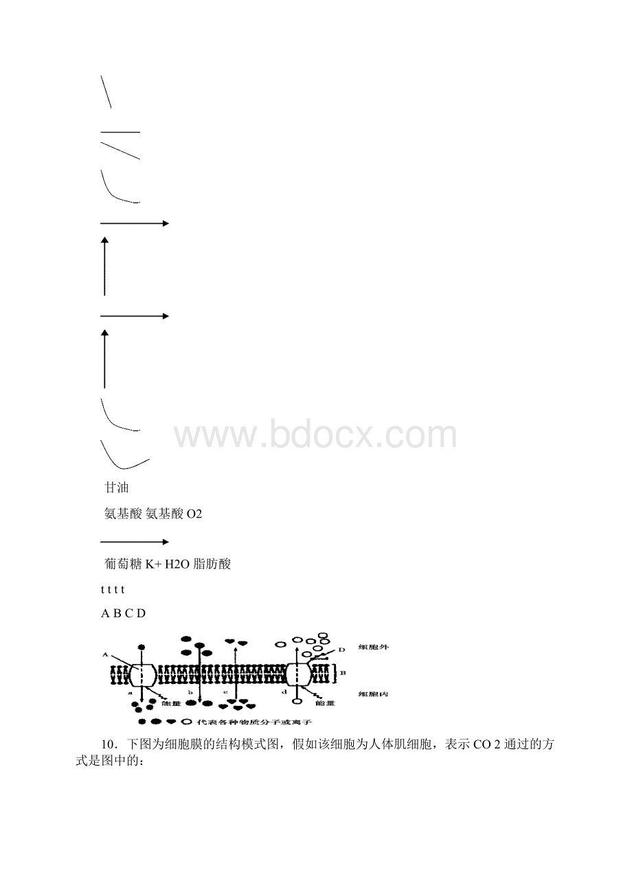 山东省莱州市第五中学高三生物一轮复习综合素质评估必修一人教版.docx_第3页