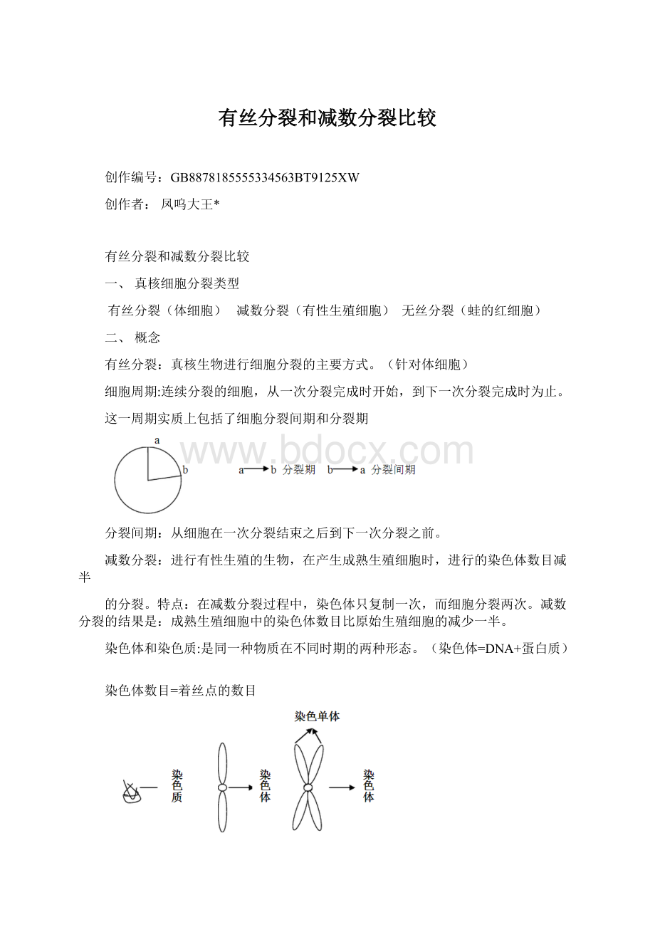 有丝分裂和减数分裂比较Word文档格式.docx_第1页