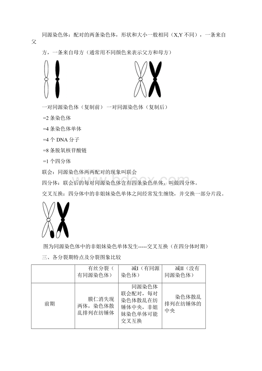 有丝分裂和减数分裂比较Word文档格式.docx_第2页