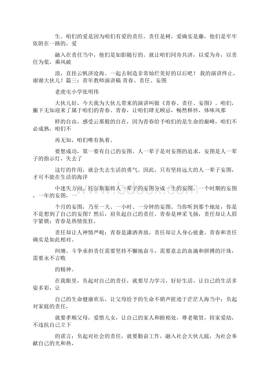 国家青年教师责任演讲稿.docx_第3页