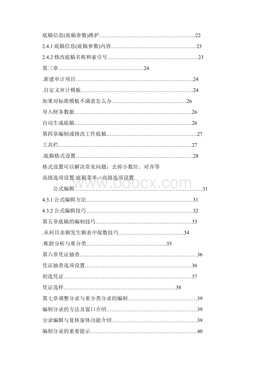 审计大师使用手册.docx_第2页