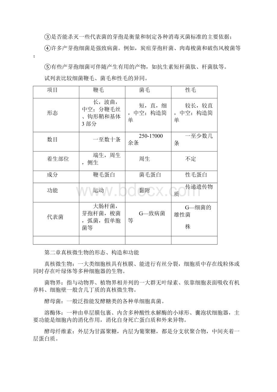 微生物复习资料Word格式.docx_第3页