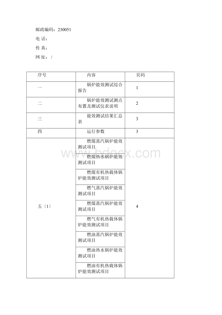 锅炉能效测试报告.docx_第2页