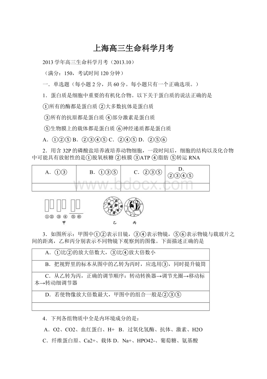 上海高三生命科学月考.docx_第1页