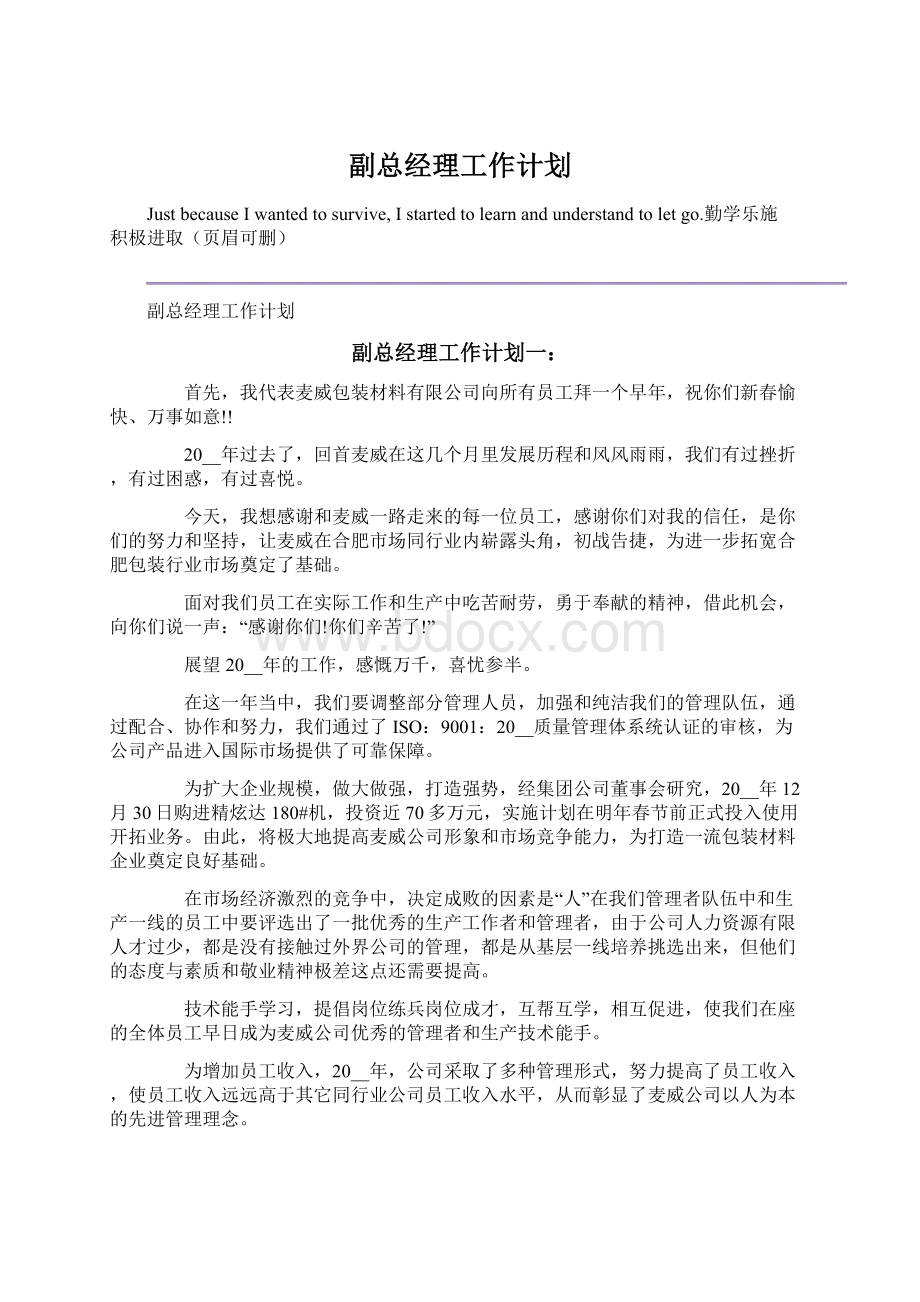 副总经理工作计划文档格式.docx_第1页