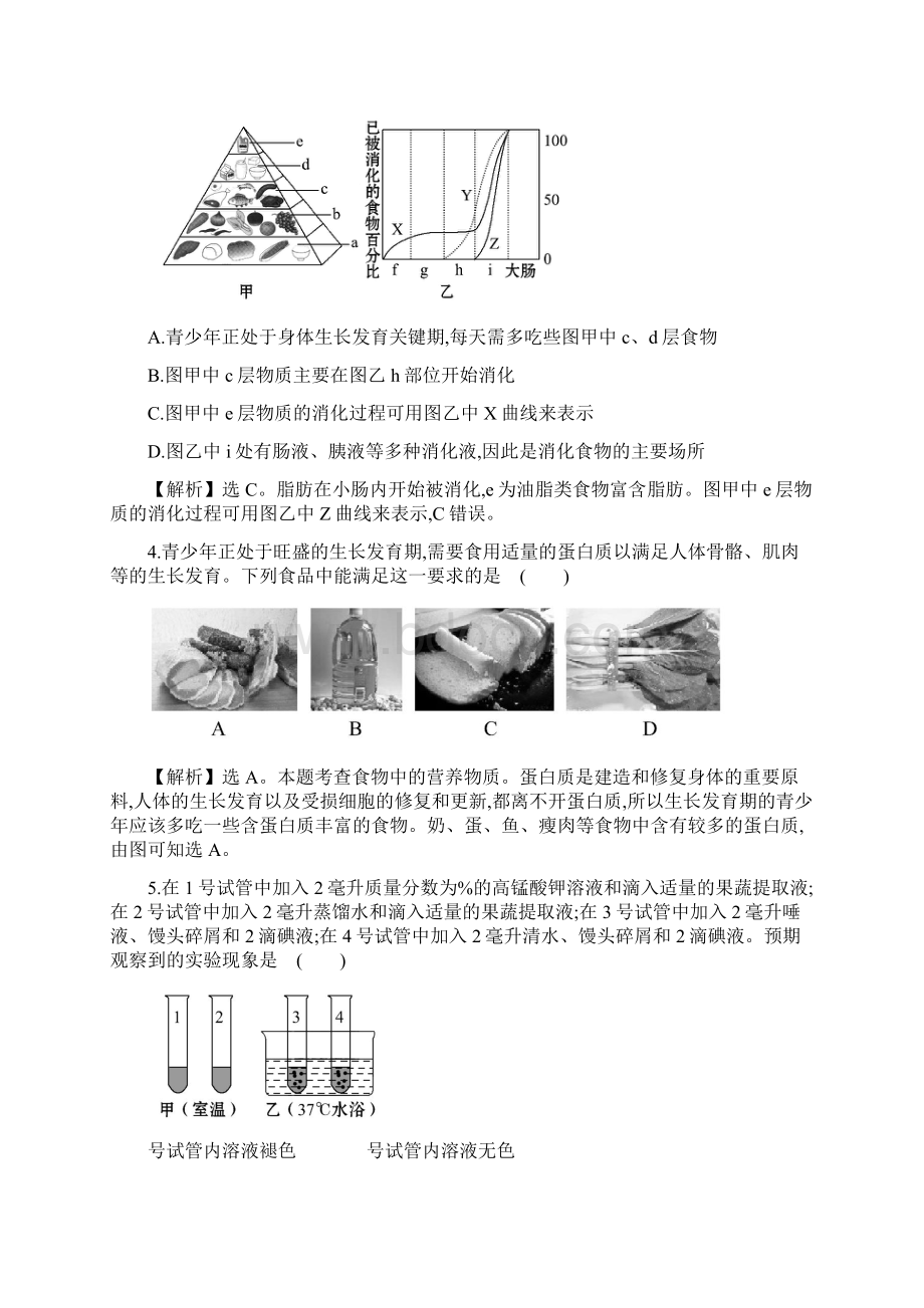 中考生物专题训练人体的营养Word格式.docx_第3页