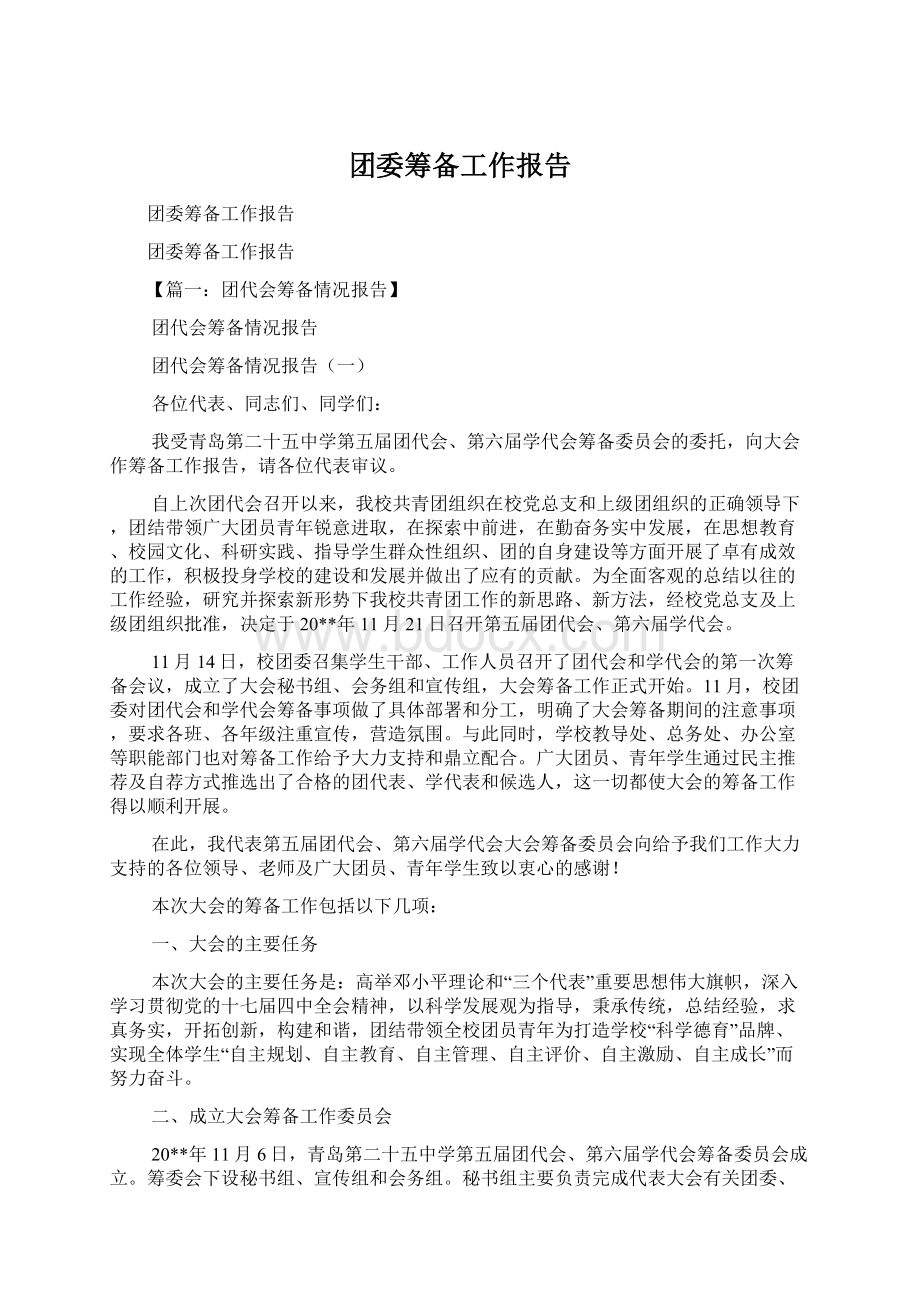 团委筹备工作报告文档格式.docx