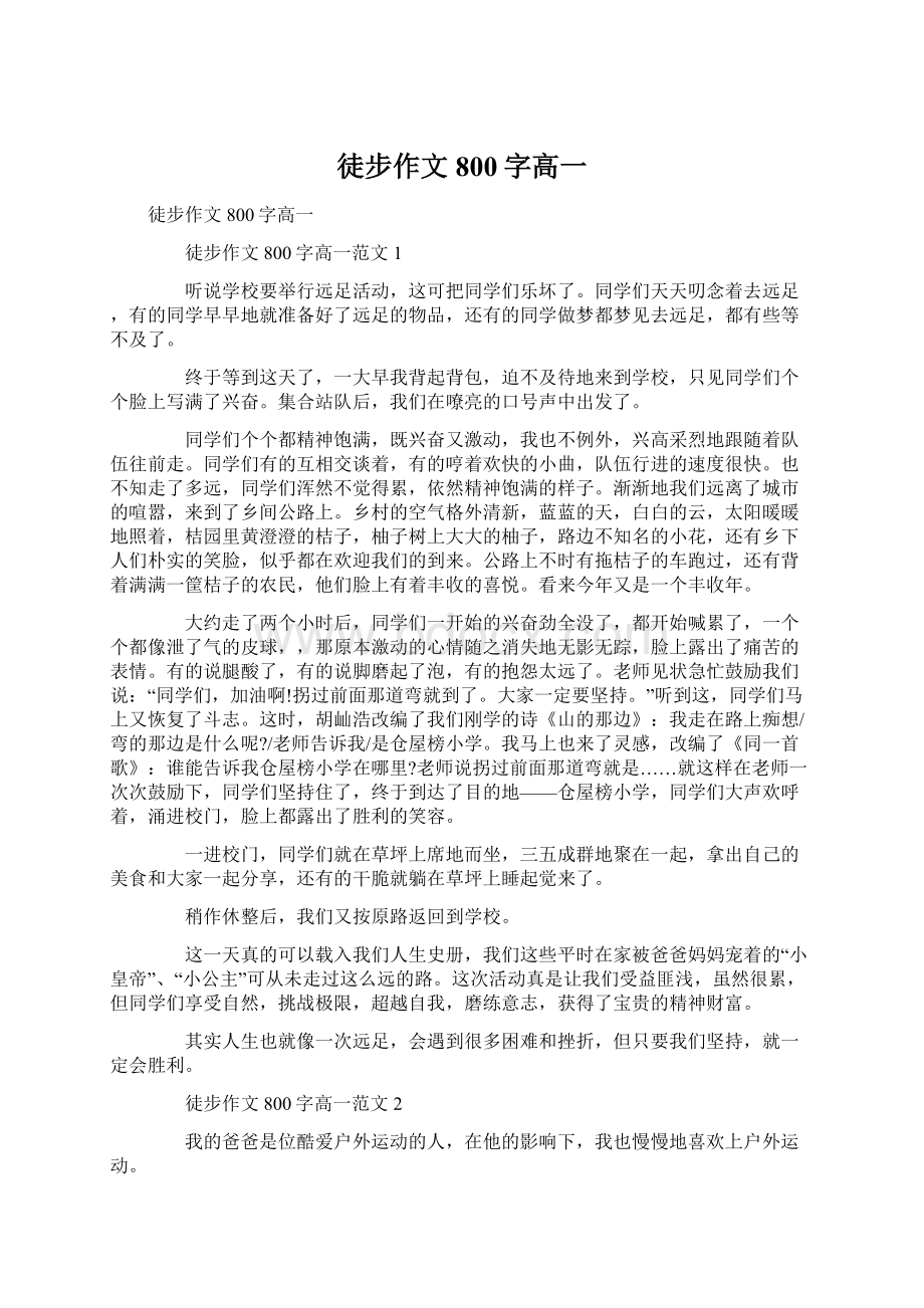 徒步作文800字高一Word文档下载推荐.docx