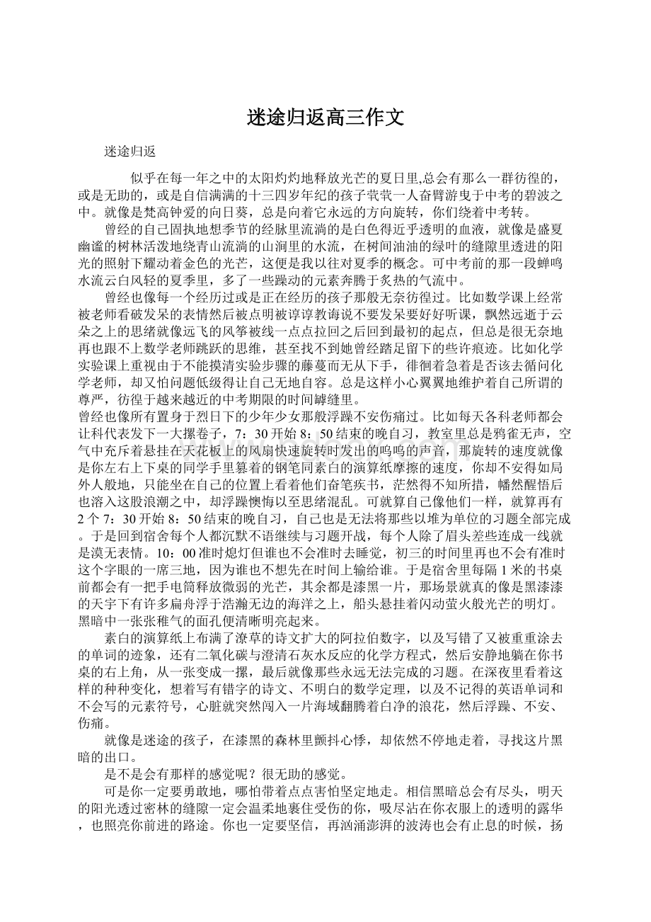 迷途归返高三作文Word文档下载推荐.docx