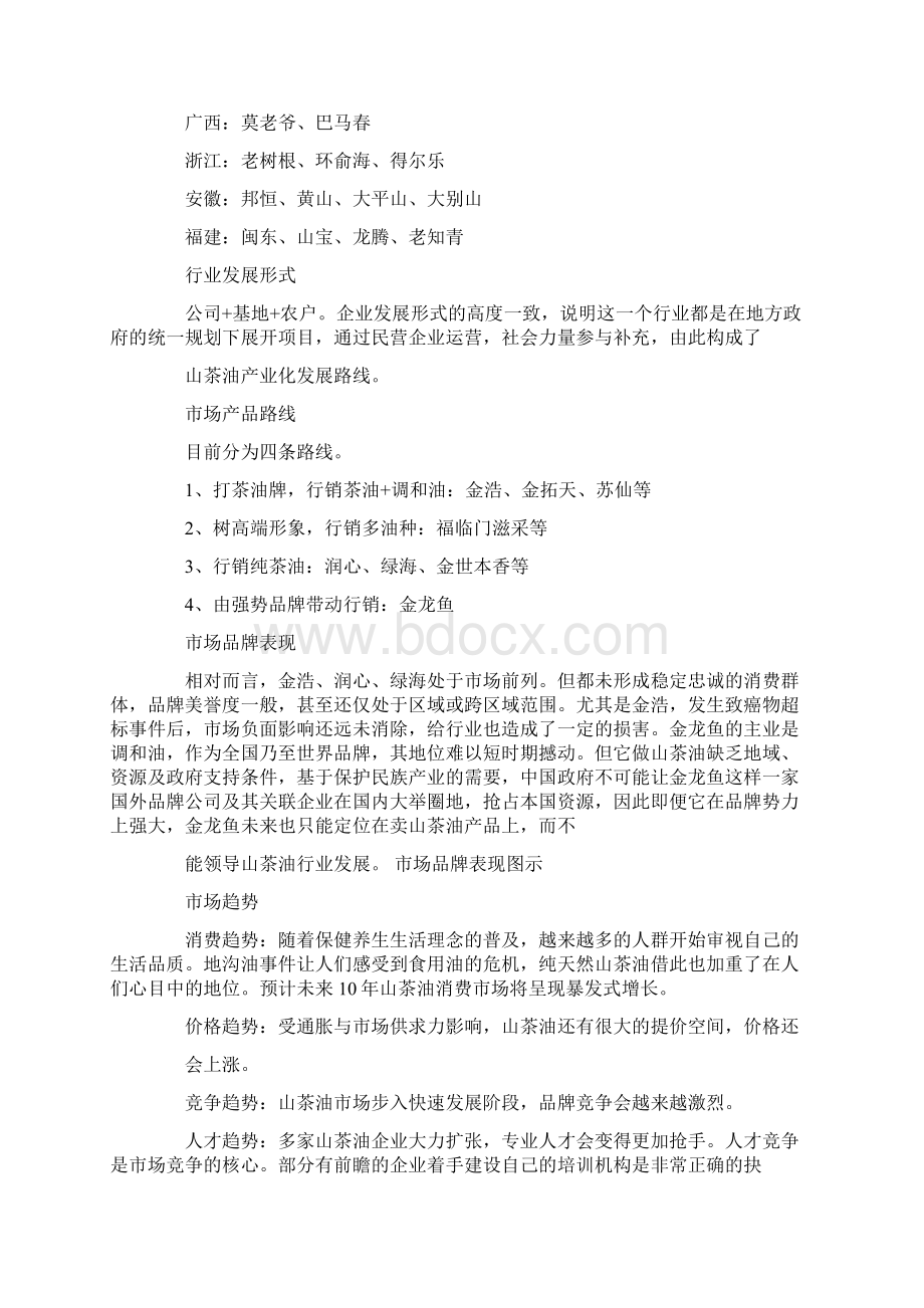 茶油网络营销策划方案文档格式.docx_第3页